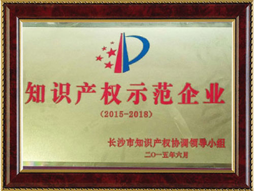 知識產(chǎn)權示范企業(yè)